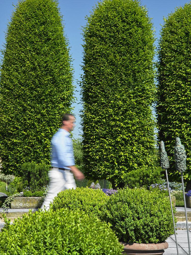 Romantik Parkhotel Het Gulpdal Slenaken Exterior foto